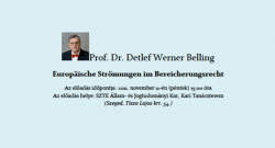 Prof. Dr. Detlef Belling